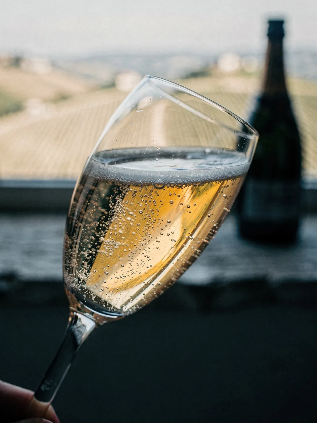 Verkosten in der Region Champagne