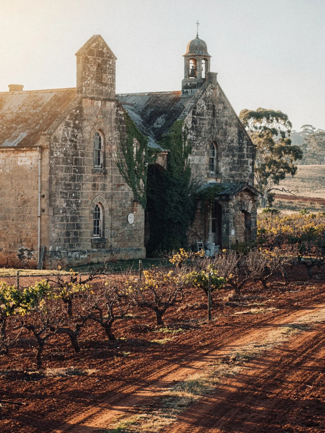 Region & Geschichte in der Region Clare Valley
