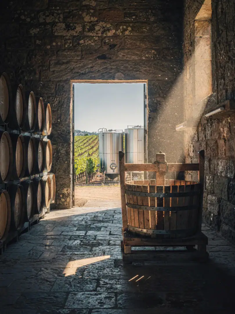 Winemaking in the region Clare Valley