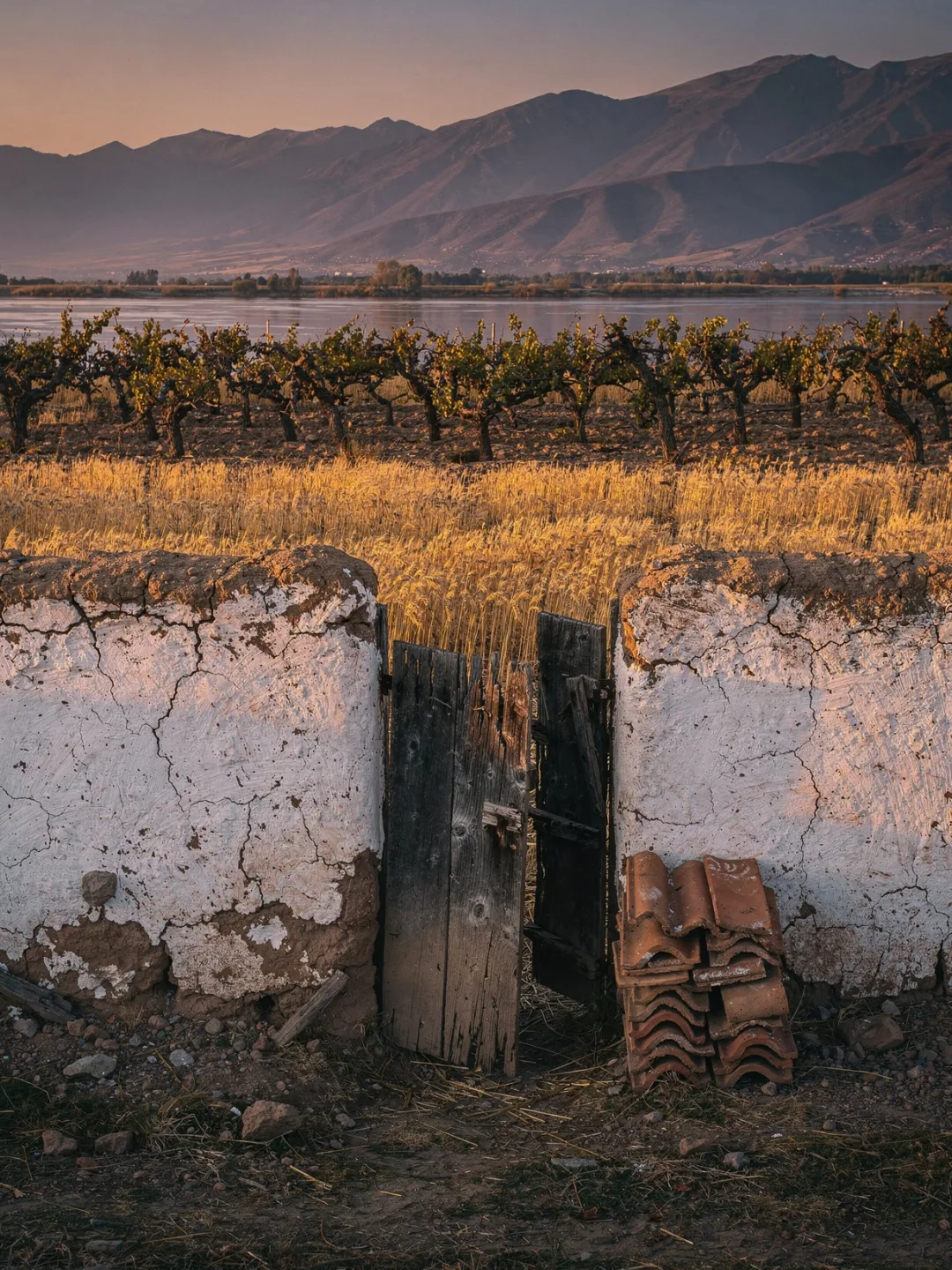 Region & Geschichte in der Region Colchagua