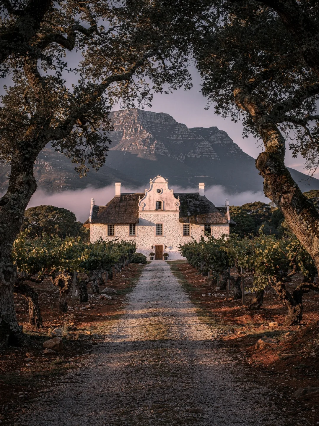 Region & Geschichte in der Region Constantia