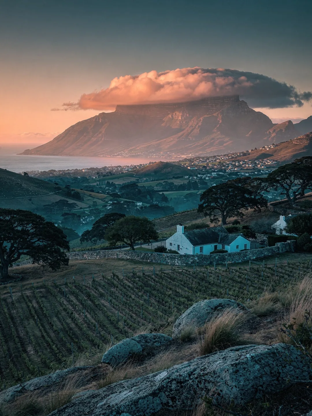 Klima in der Region Constantia