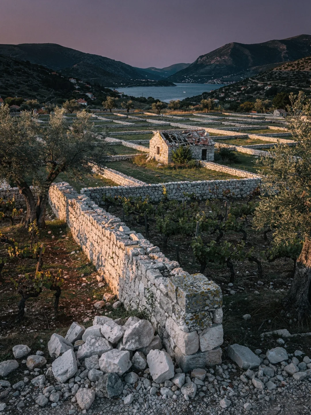 Region & Geschichte in der Region Dalmatien