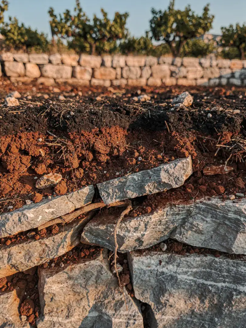 Soils in the region Dalmatia