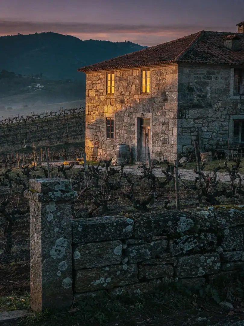 Region & History in the region Dão