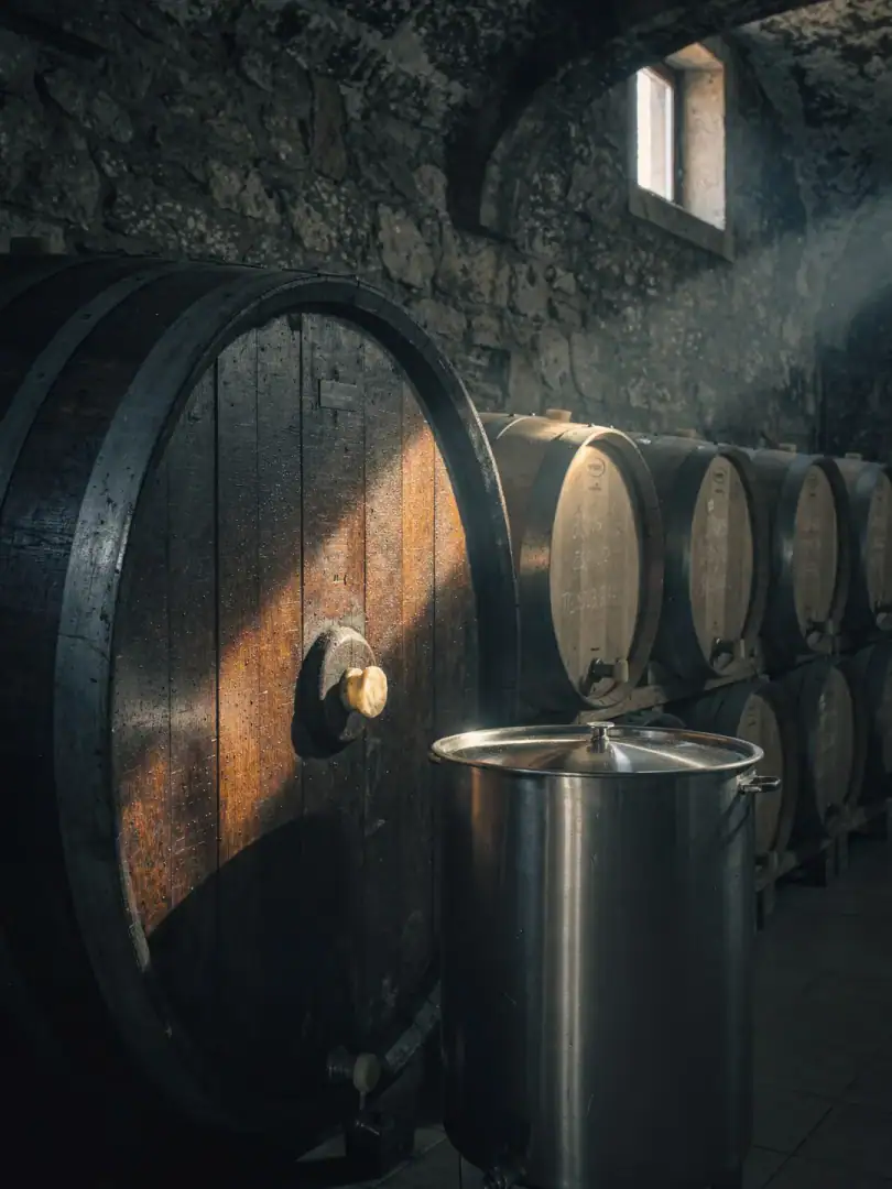 Winemaking in the region Dão