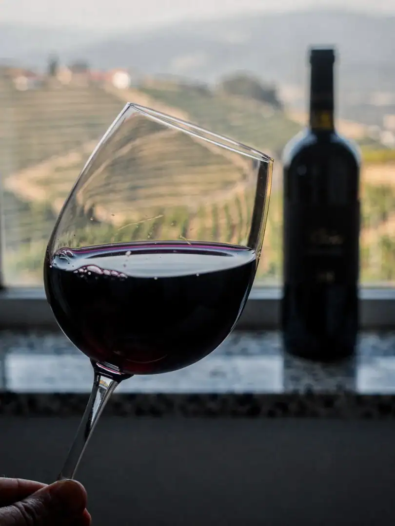 Tasting in the region Dão
