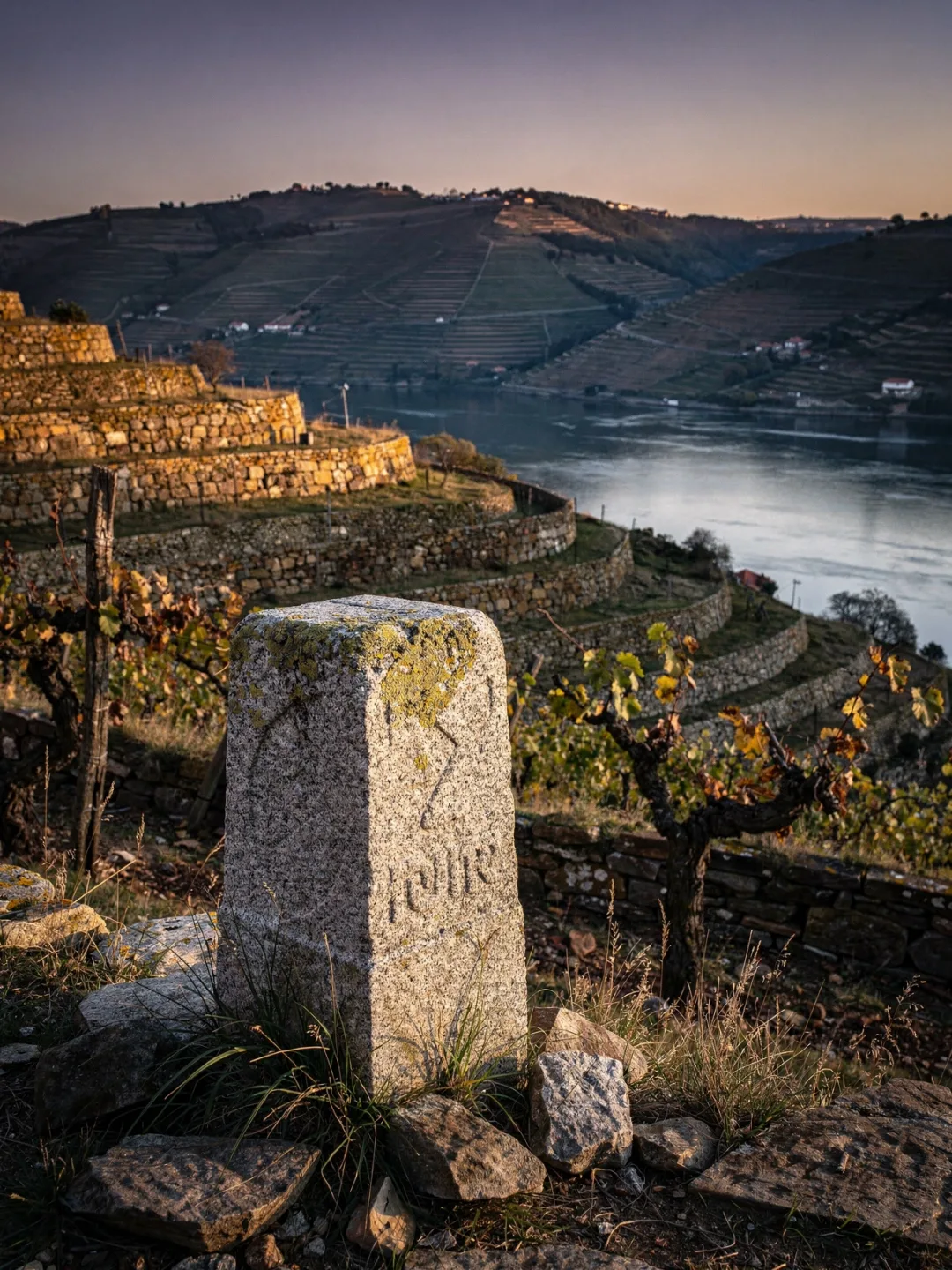 Region & Geschichte in der Region Douro