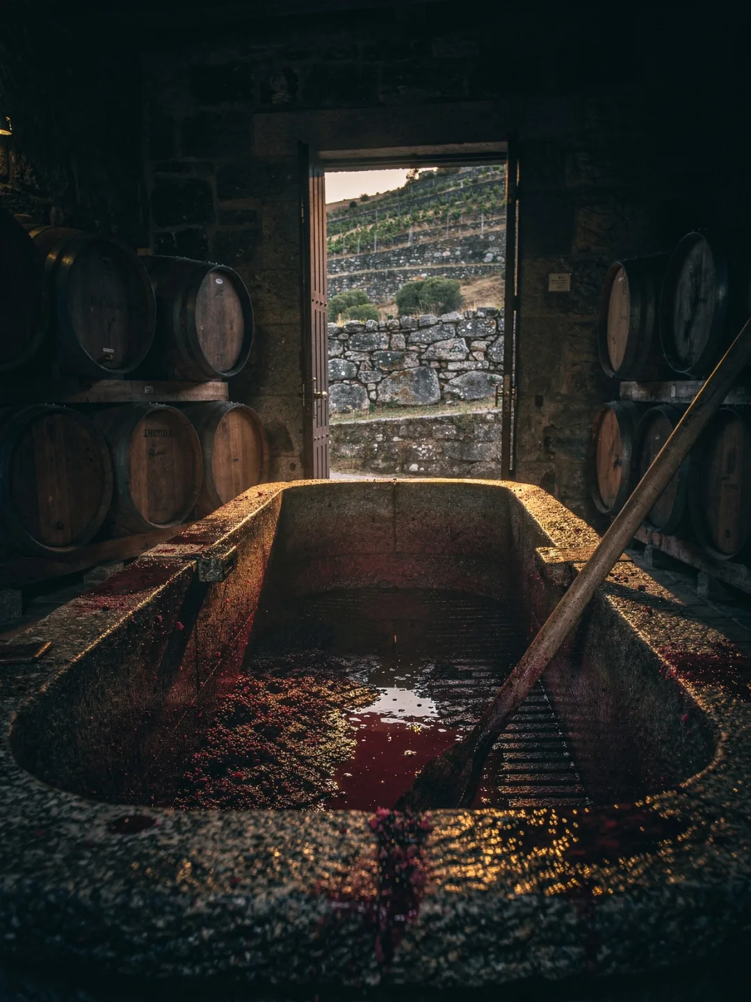 Herstellung in der Region Douro