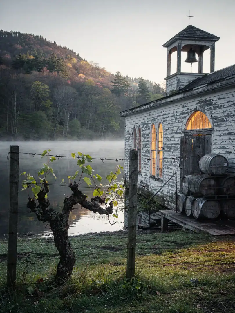 Region & History in the region Finger Lakes