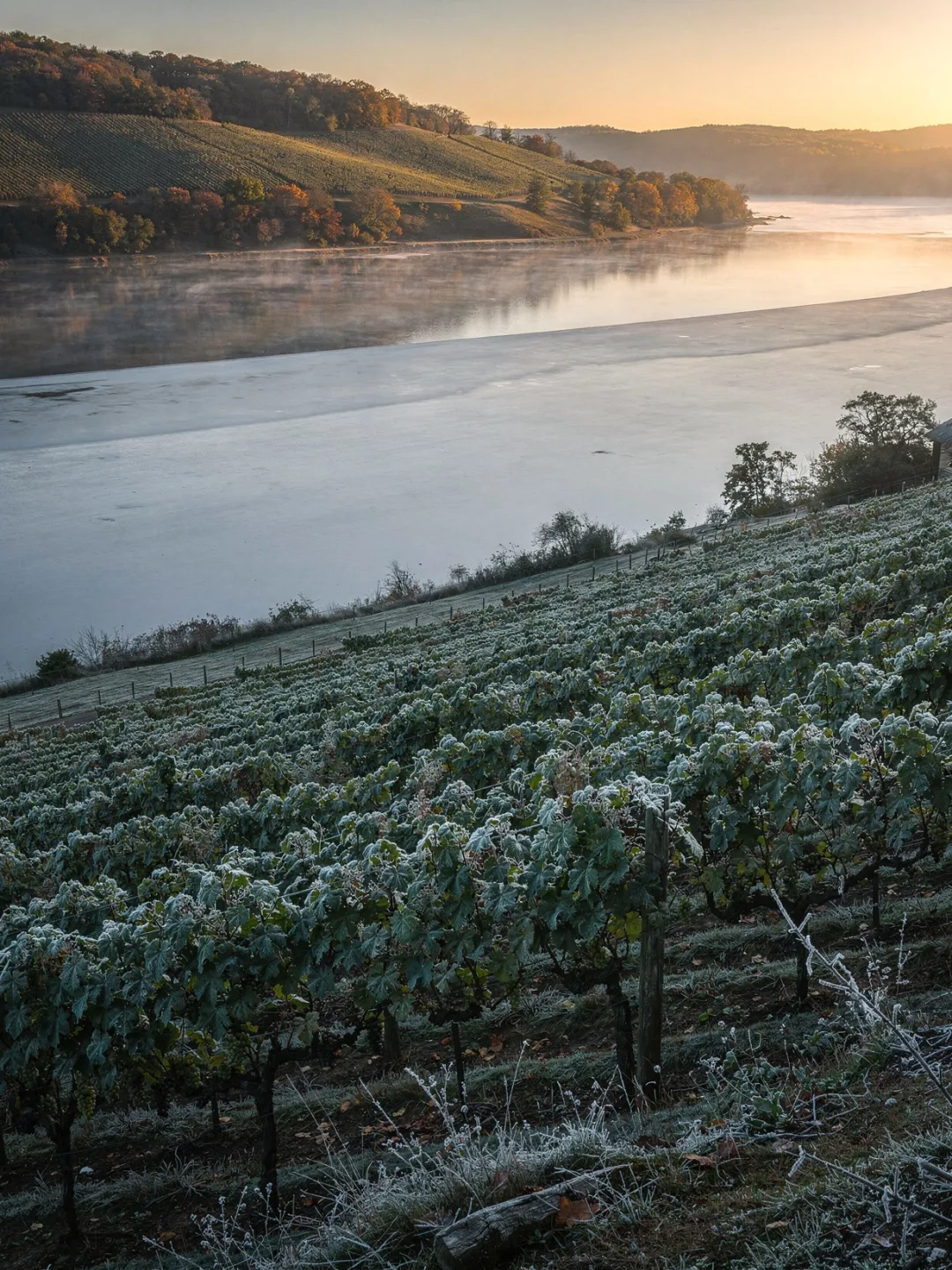 Klima in der Region Finger Lakes