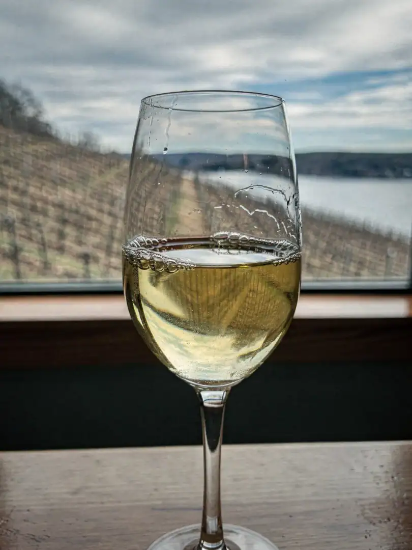 Tasting in the region Finger Lakes