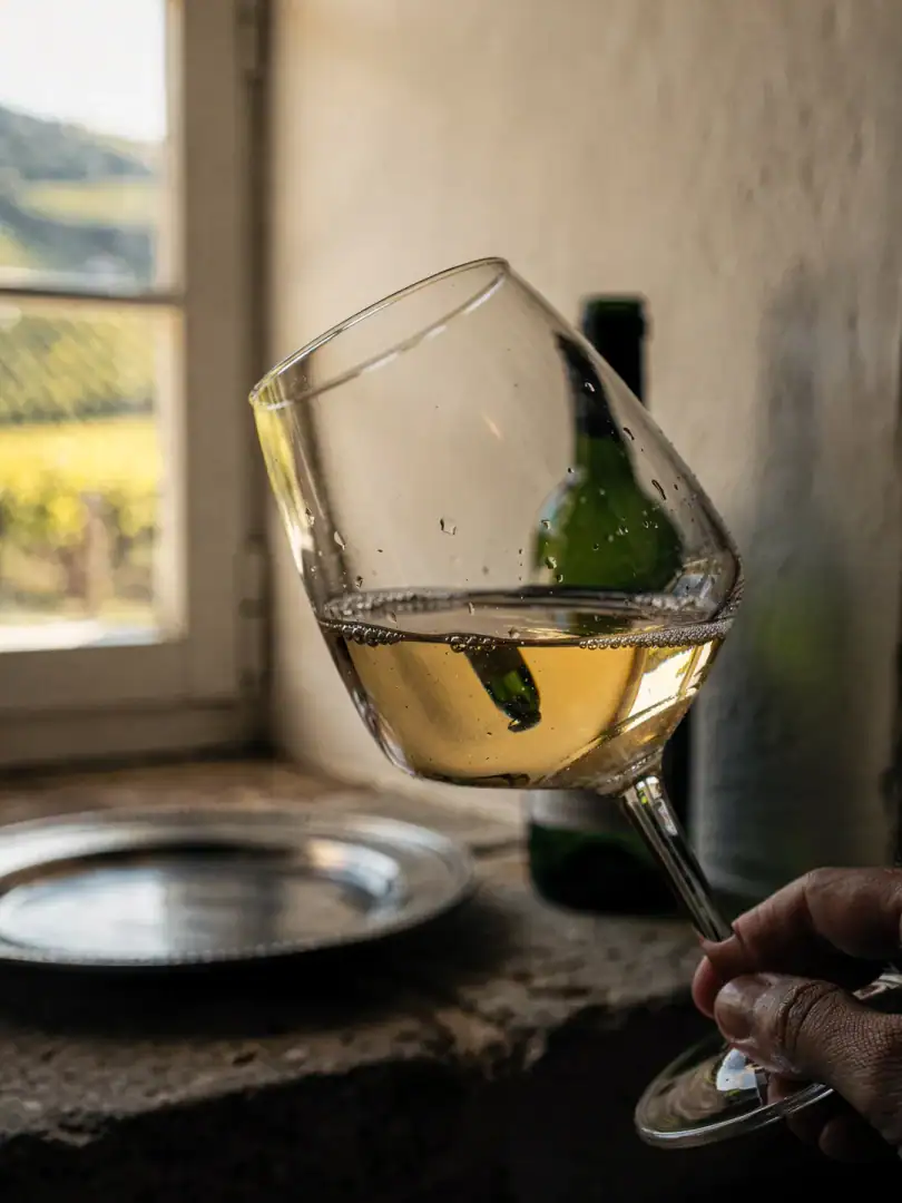 Tasting in the region Franconia