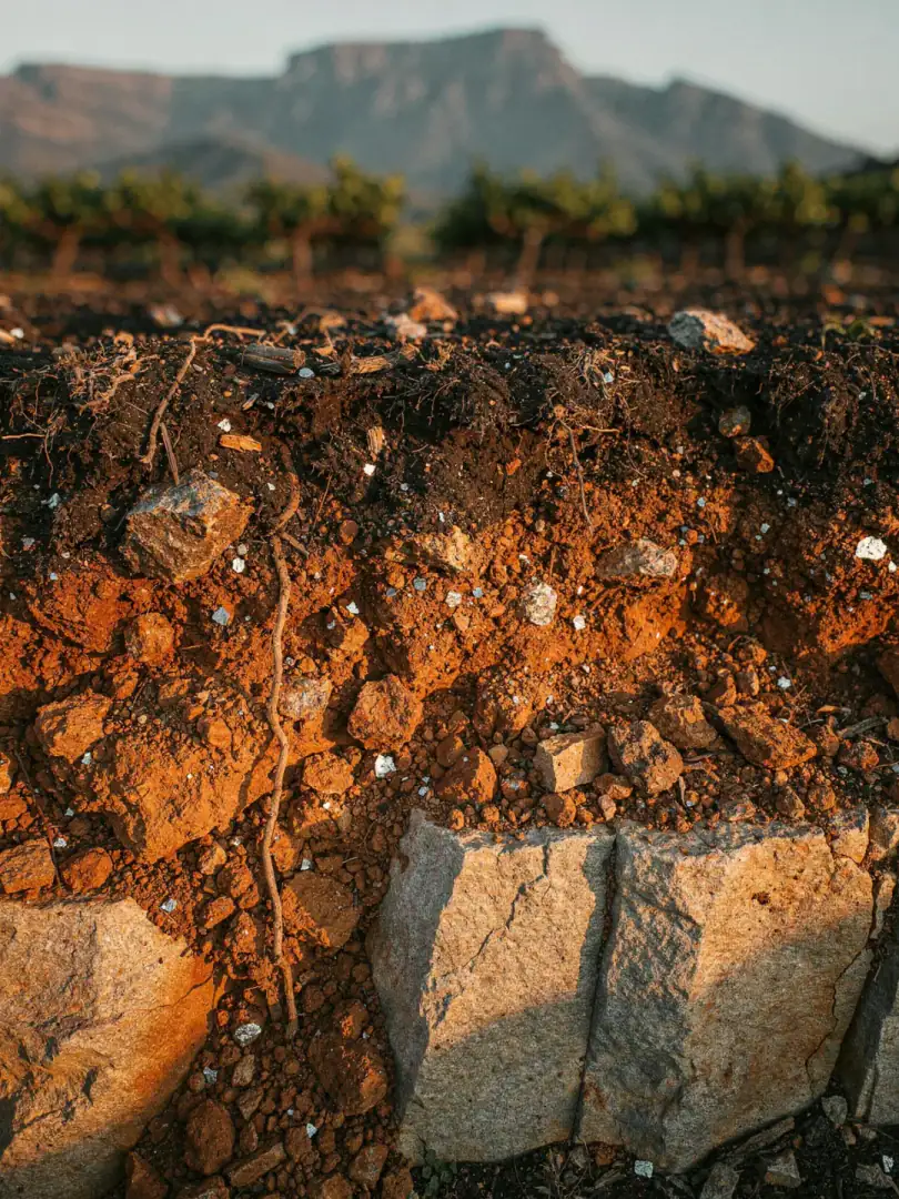 Soils in the region Franschhoek
