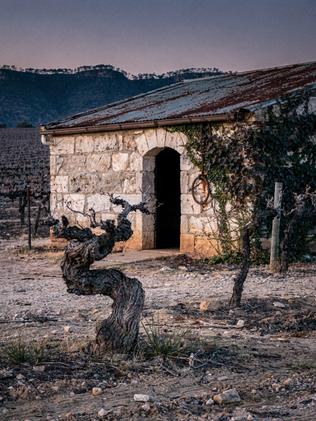Region & Geschichte in der Region Hunter Valley