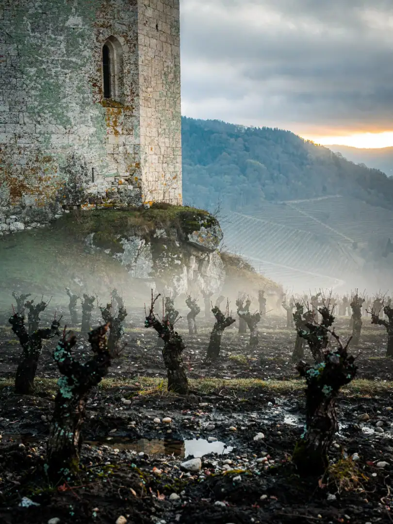 Region & History in the region Jura