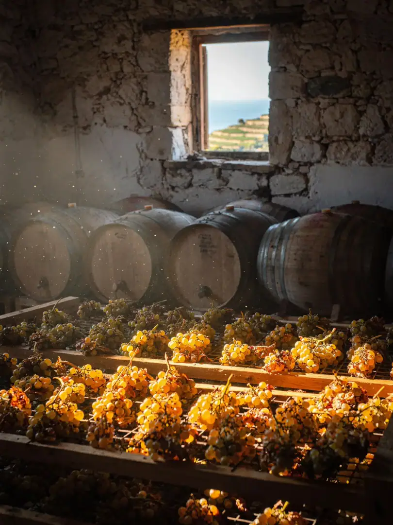 Production in the region Calabria