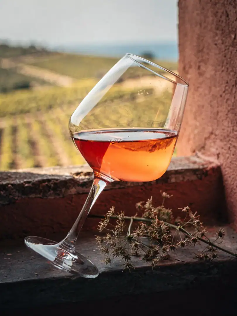 Tasting in the region Calabria
