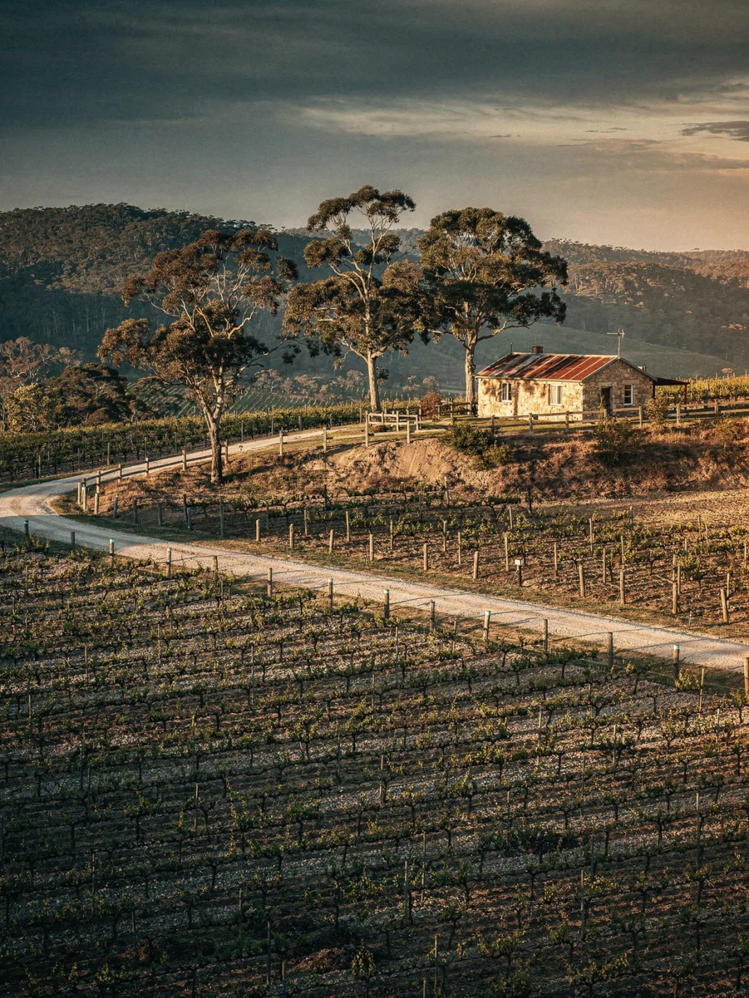 Landschaft der Region Adelaide Hills