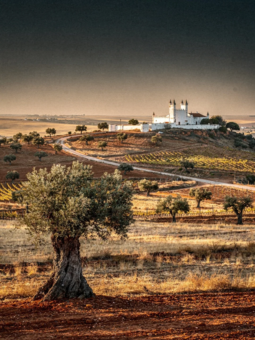Landschaft der Region Alentejo
