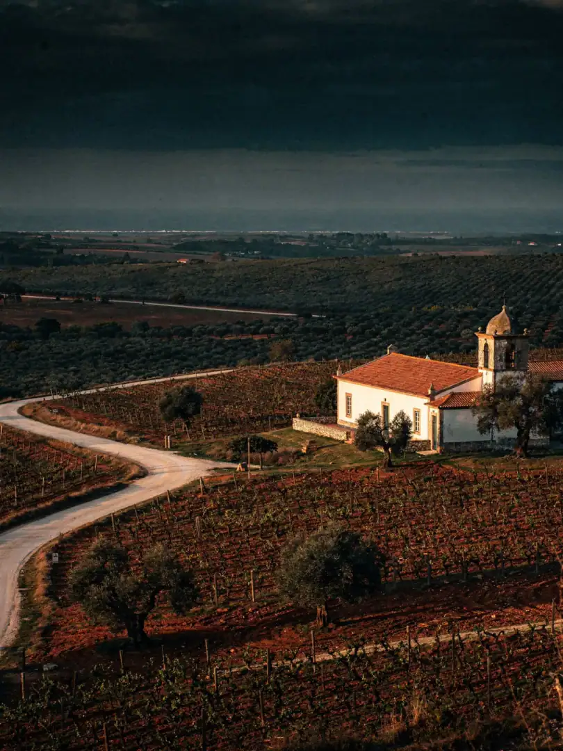 Landscape of the region Bairrada