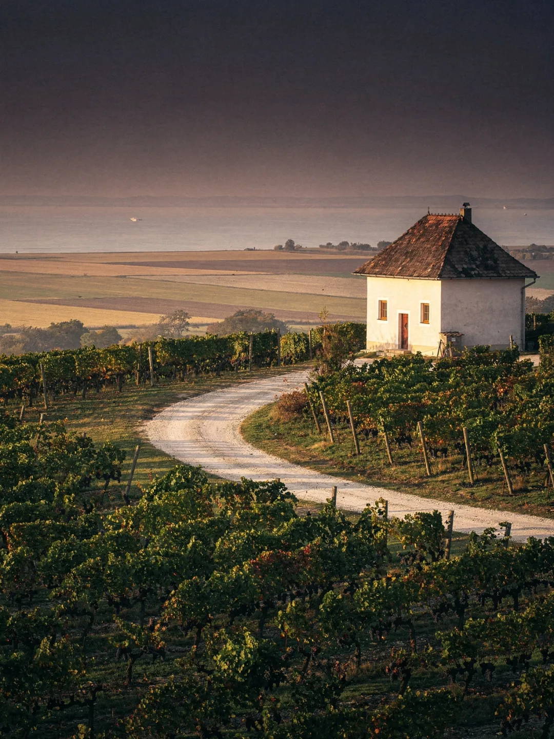 Landschaft der Region Burgenland