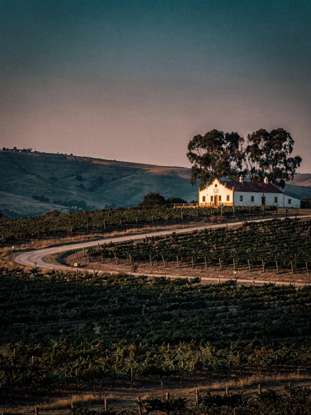 Landschaft der Region Canelones