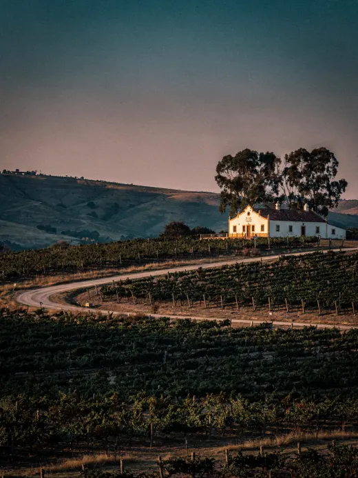 Landschaft der Region Canelones