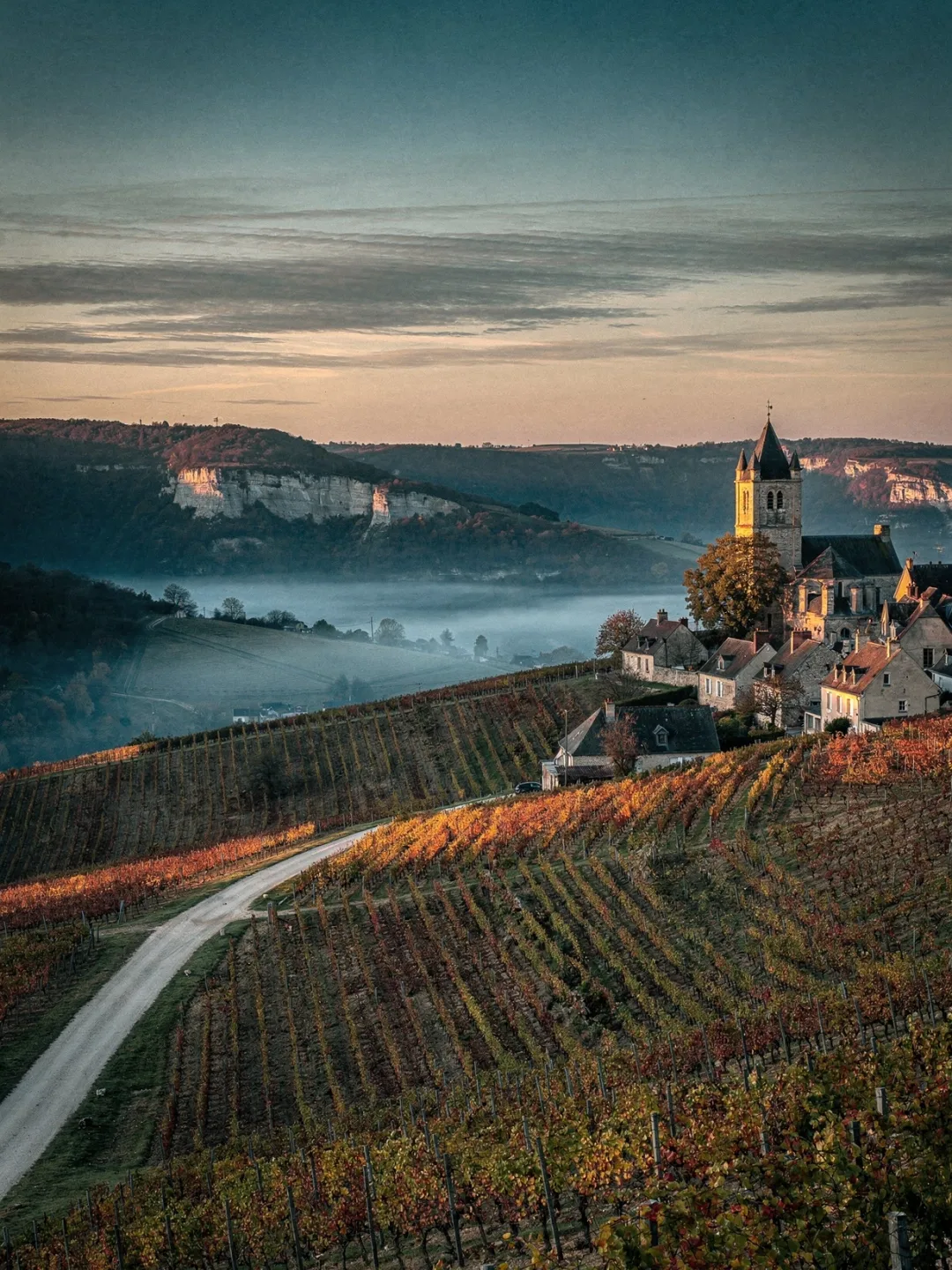 Landschaft der Region Champagne