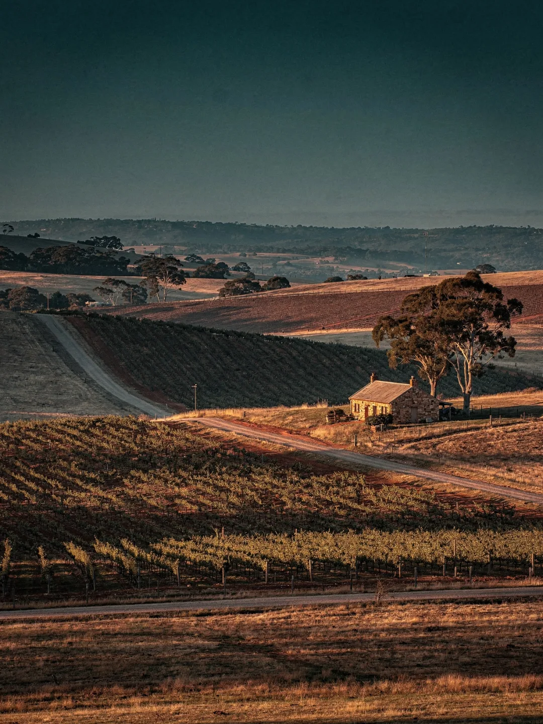 Landschaft der Region Clare Valley