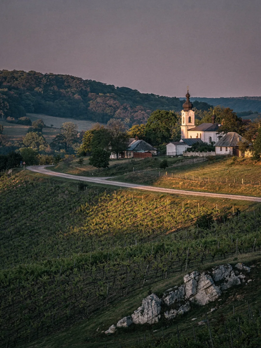 Landschaft der Region Codru
