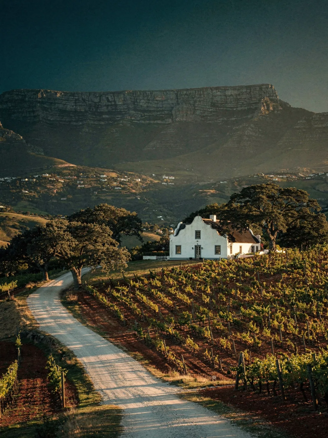 Landschaft der Region Constantia