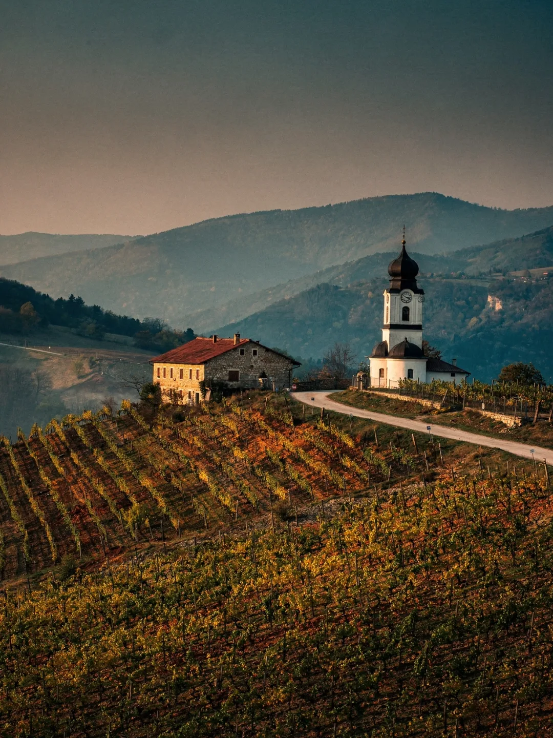 Landschaft der Region Dealu Mare