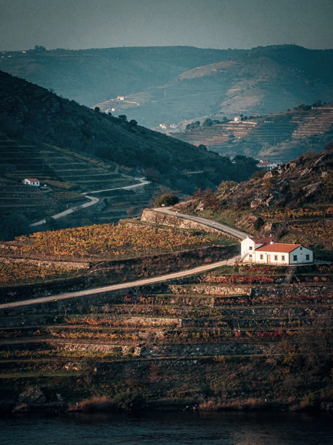Landschaft der Region Douro