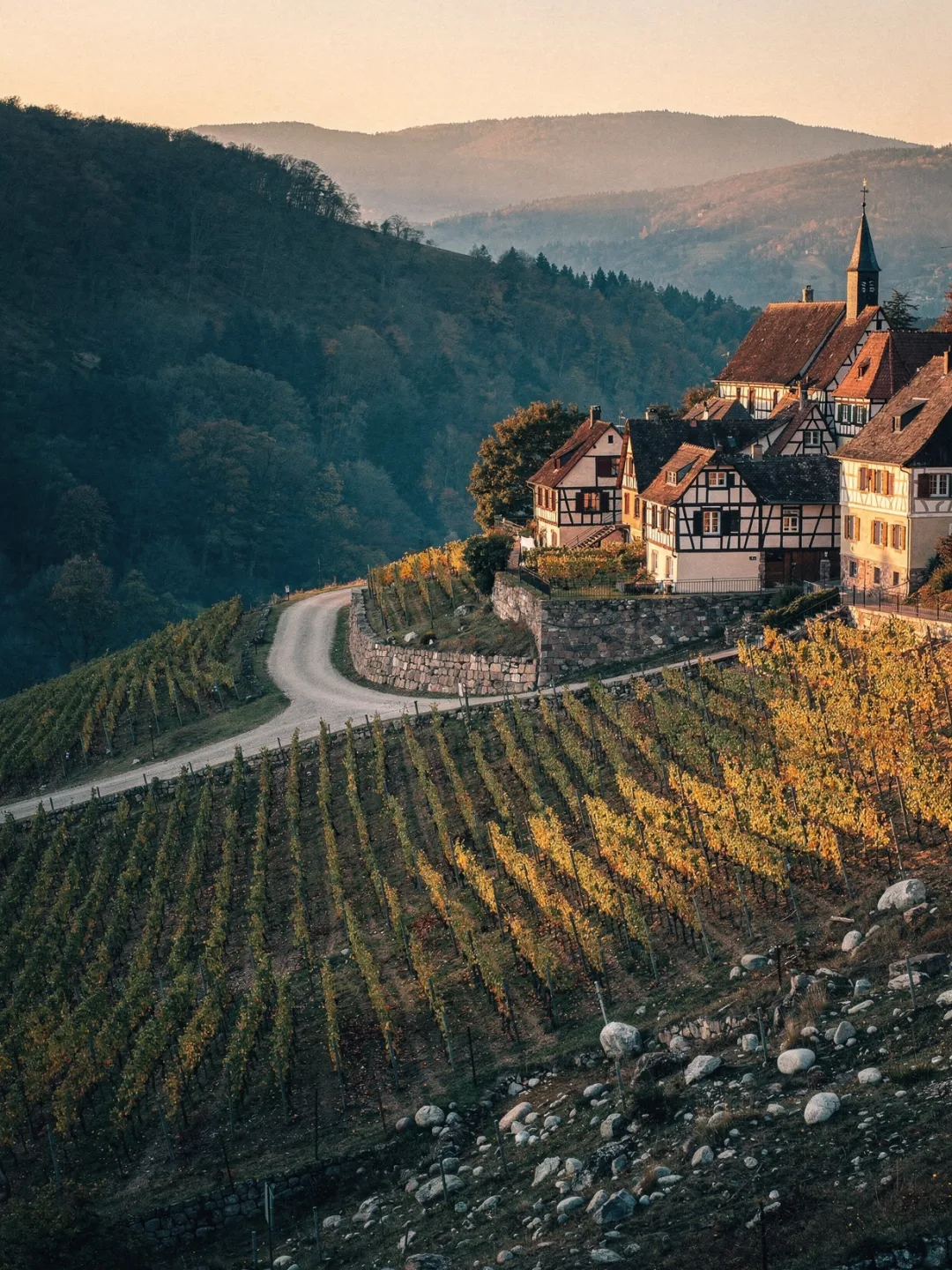 Landschaft der Region Elsass