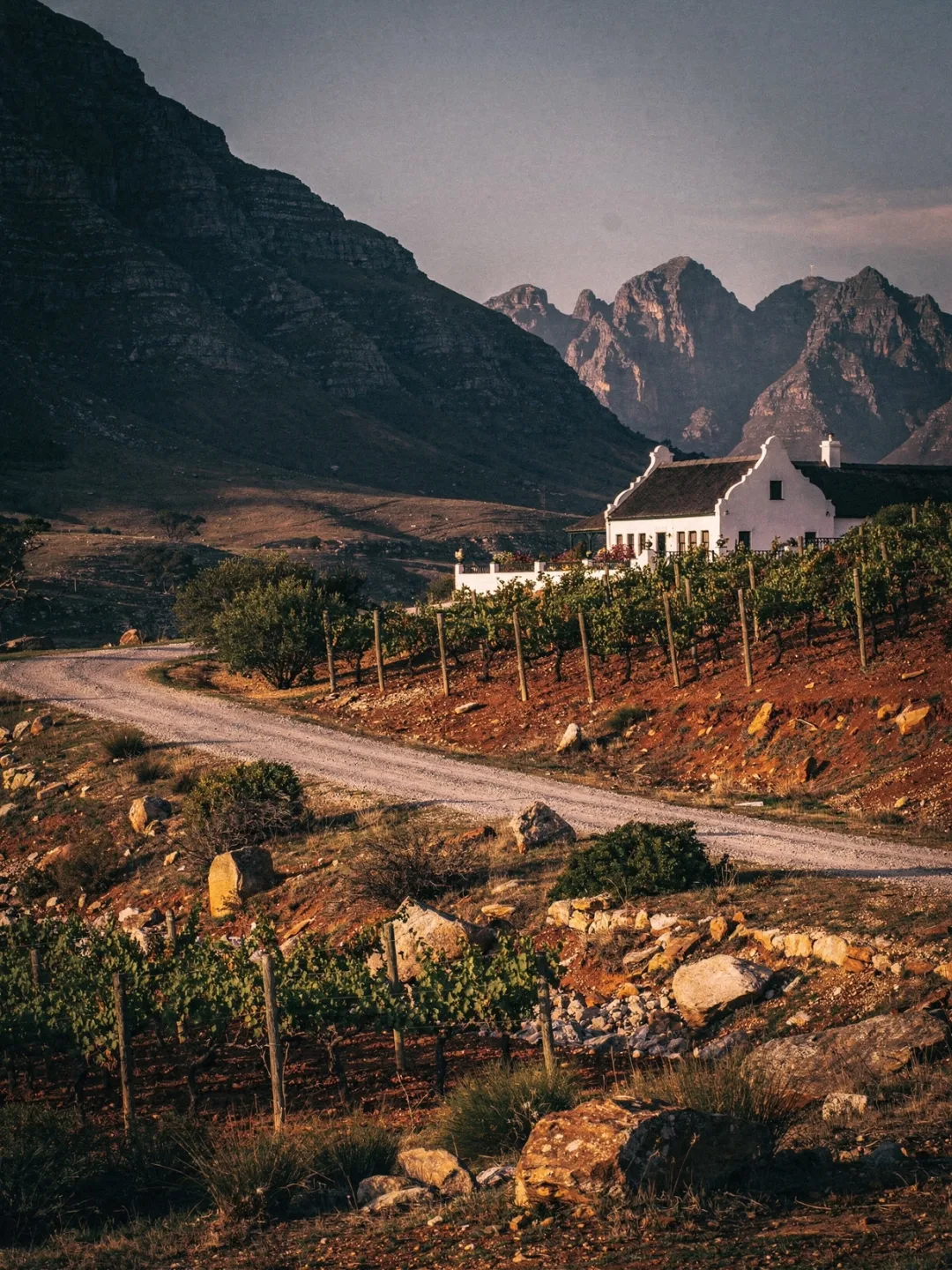 Landschaft der Region Franschhoek