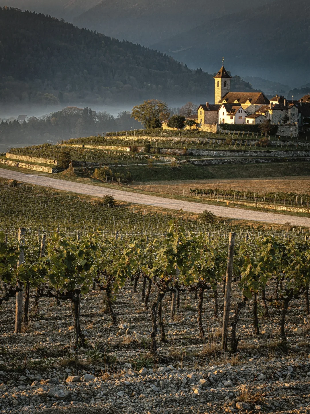 Landschaft der Region Genf