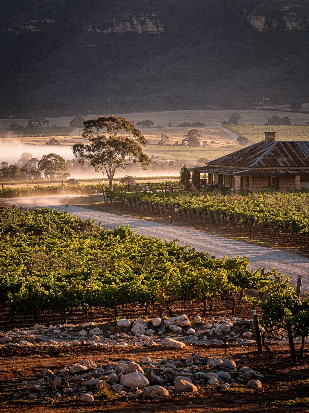 Landschaft der Region Hunter Valley