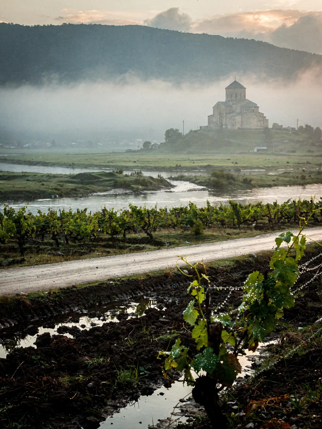 Landschaft der Region Imeretien