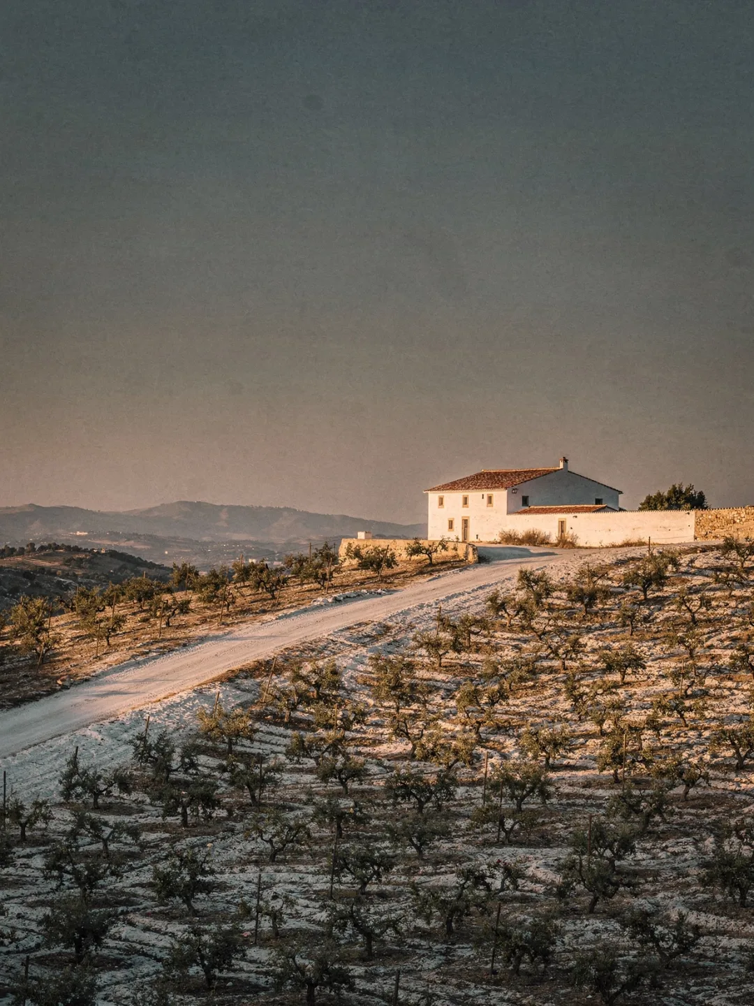 Landschaft der Region Jerez