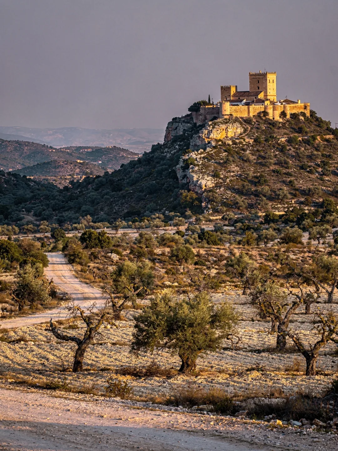 Landschaft der Region Jumilla