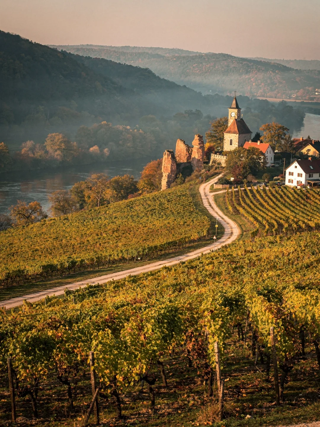 Landschaft der Region Kamptal