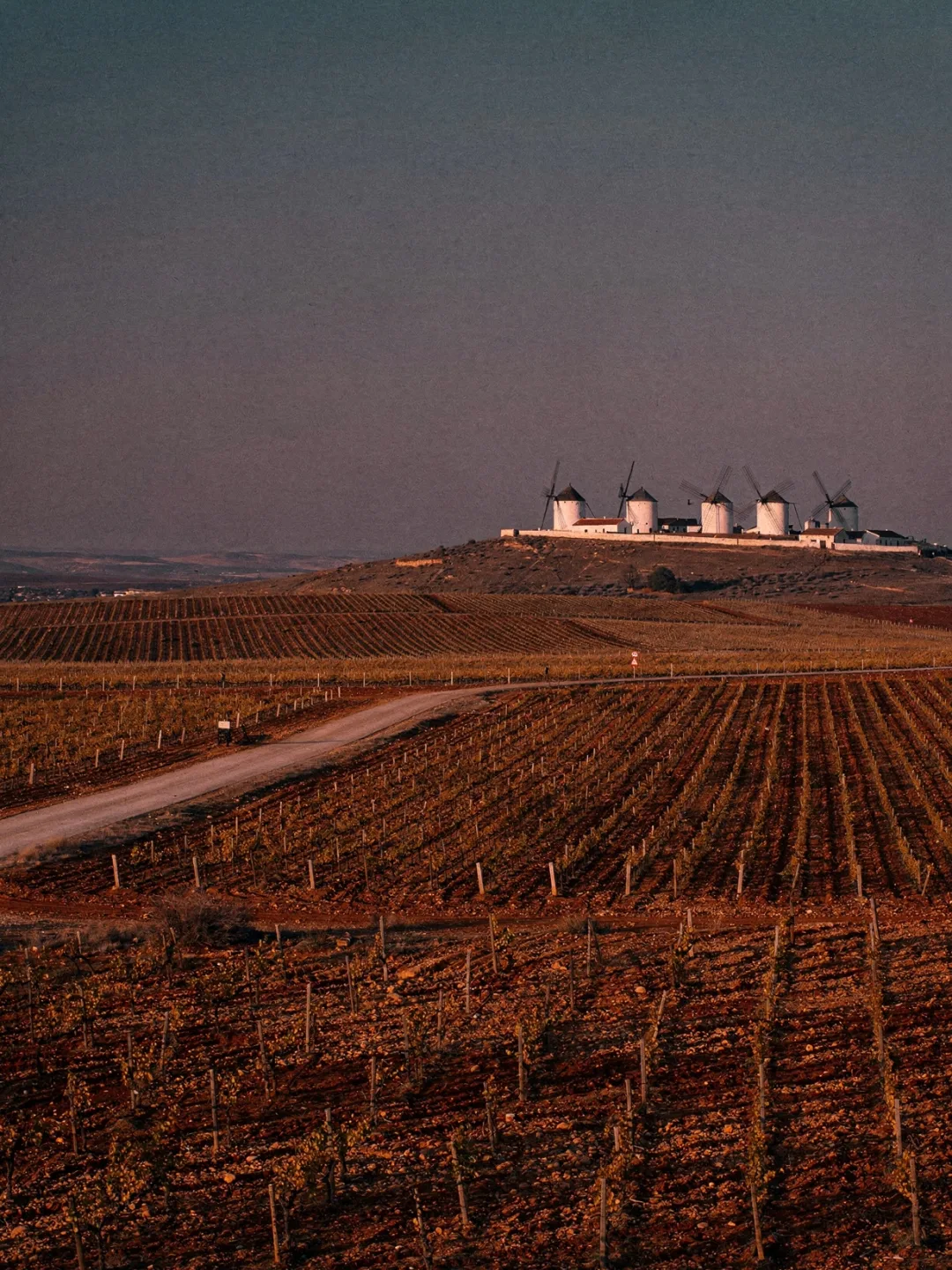 Landschaft der Region La Mancha