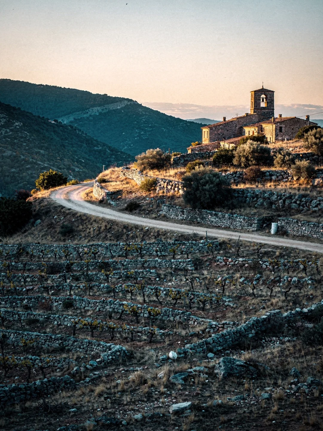 Landschaft der Region Languedoc