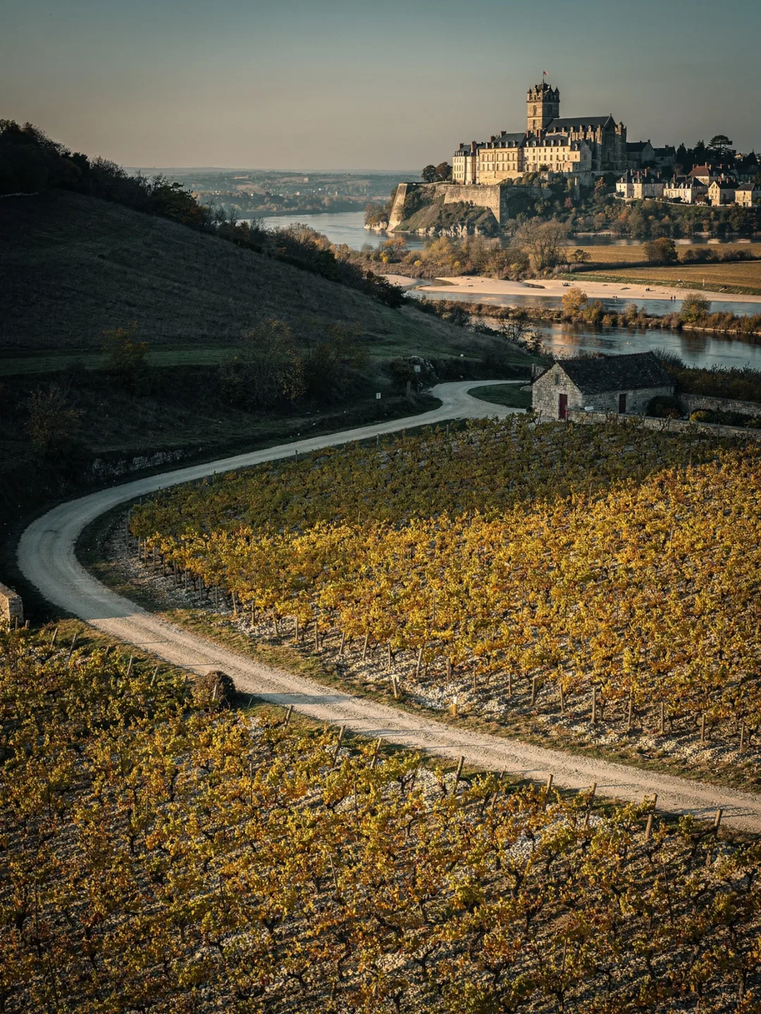 Landschaft der Region Loire