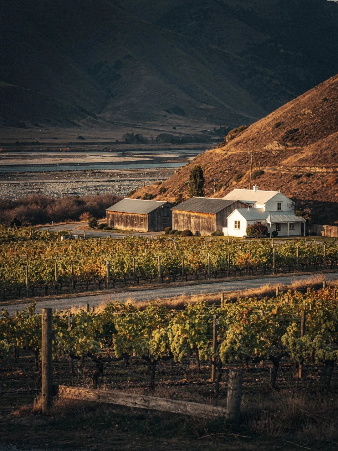 Landschaft der Region Marlborough