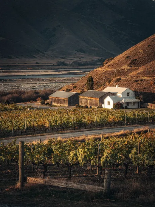 Landschaft der Region Marlborough