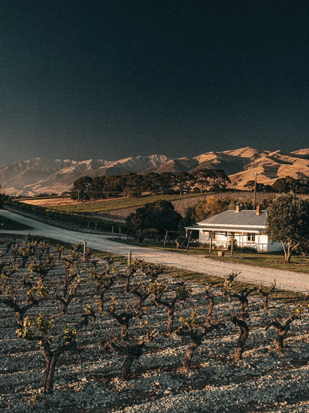 Landschaft der Region Martinborough