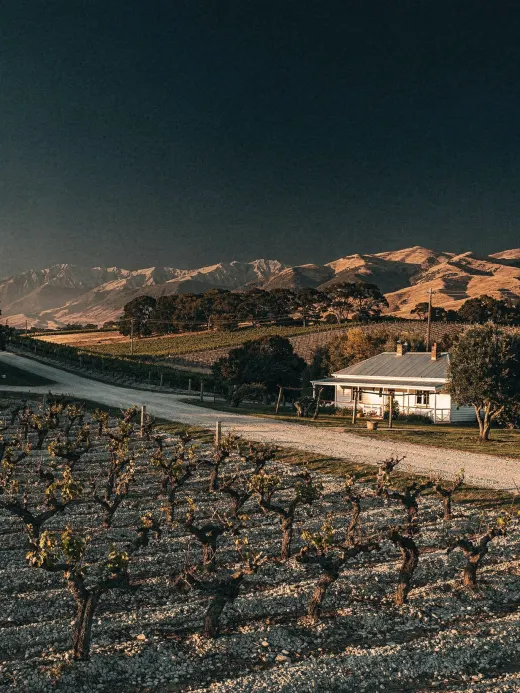 Landschaft der Region Martinborough