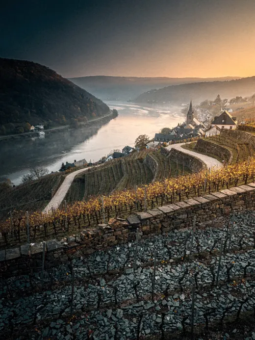 Landschaft der Region Mosel